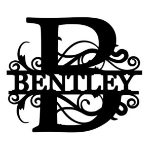 Split Letter Family Name